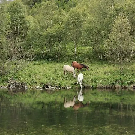 Steinklepp Campingplasser